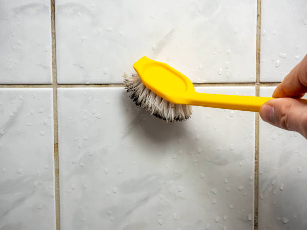 Best Mold Damage Repair  in Pine Mountain, GA