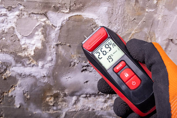 Best Mold Cleaning Services  in Pine Mountain, GA