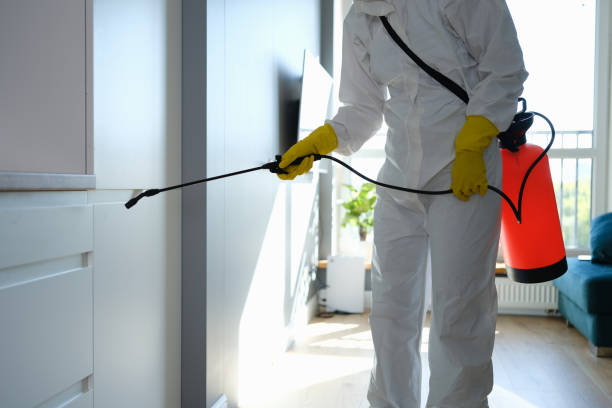 Best Mold Testing  in Pine Mountain, GA
