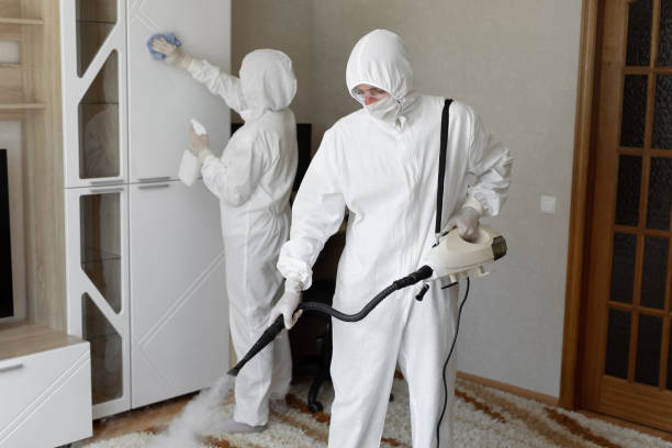 Best Residential Mold Removal  in Pine Mountain, GA
