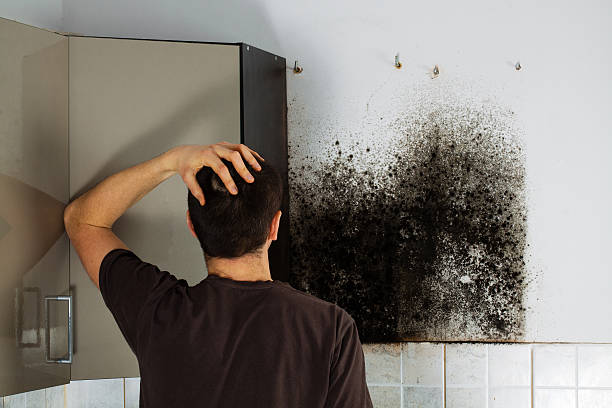 Attic Mold Removal in Pine Mountain, GA