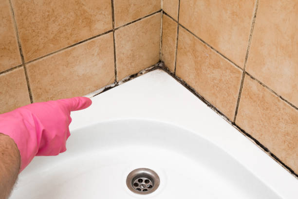 Best Mold Removal Near Me  in Pine Mountain, GA